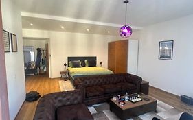 Magnificent Apartment, Geneva Center, Geneva Lake